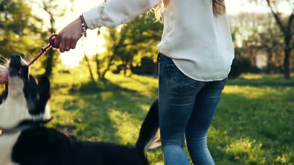 Beautiful Woman Walking Cute Dog in Nature