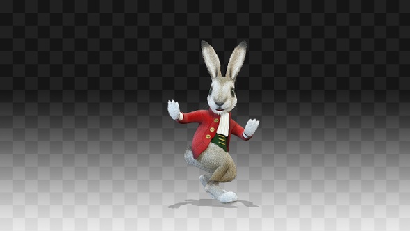 Rabbit Oliver is dancing the long dance Salsa alt