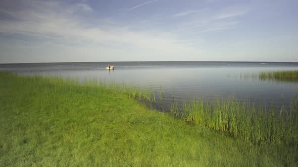 Green coast with birds on the Baltic coast