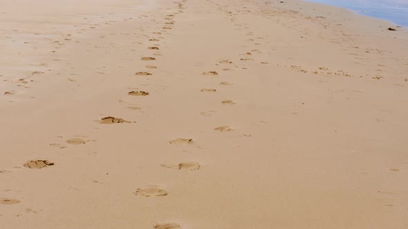 Footprints in the sand at a beach panning up to an ocean horizon with waves crashing the shore. alt
