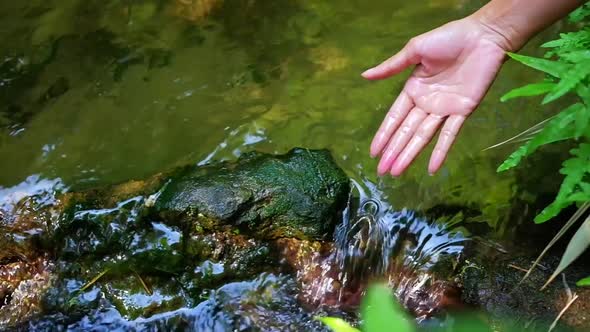 Woman Touching Clear Water at Small Brooks in the Forest