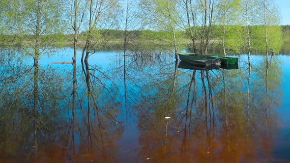 Trees That Standing In Water During Spring Flood Floodwaters alt