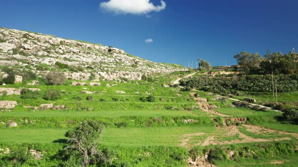 AERIAL: Greenery Grows on Slopes near Magrr Ix-Xini bay on Sunny Day in Winter in Malta alt