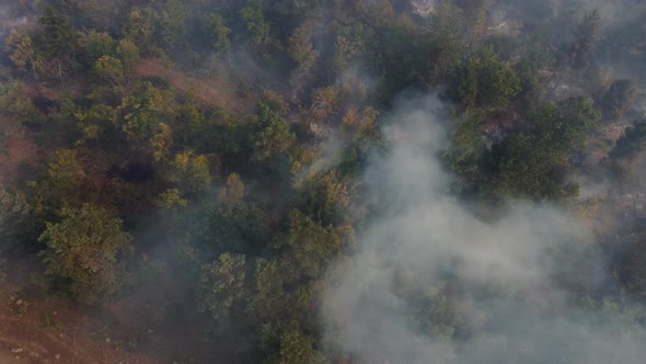 Fire in the forest aerial view. Cinematic aerial shot fire in the forest. alt