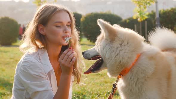 Young woman walking her cute Akita Inu dog in park on sunny day. Lovely pet alt