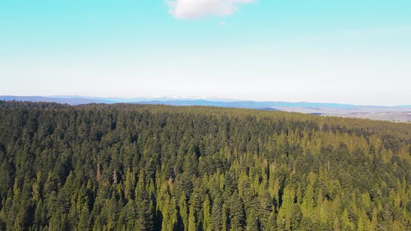 Africa Natural Landscapes alt