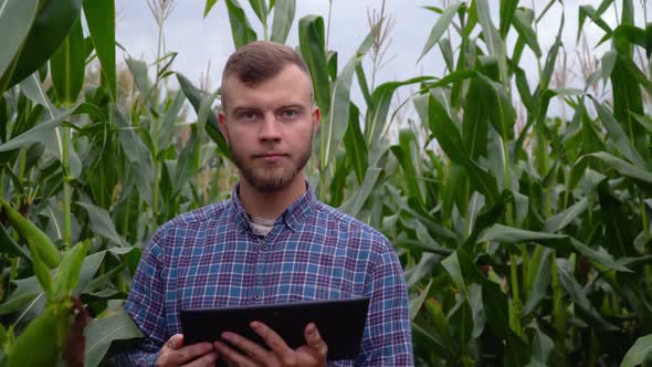 Checking the Integrity of the Corn Field of Agriculture. Young Farmer with Digital Tablet. Smart Eco alt