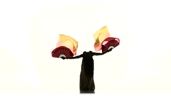 Beautiful Young Exotic Belly Dancer Girl with Two Fans, on White, Silhouette, Shadow, Slow Motion alt