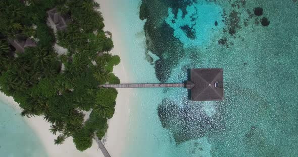 Aerial view of Maldives island, white sand and green palm trees and over water villas