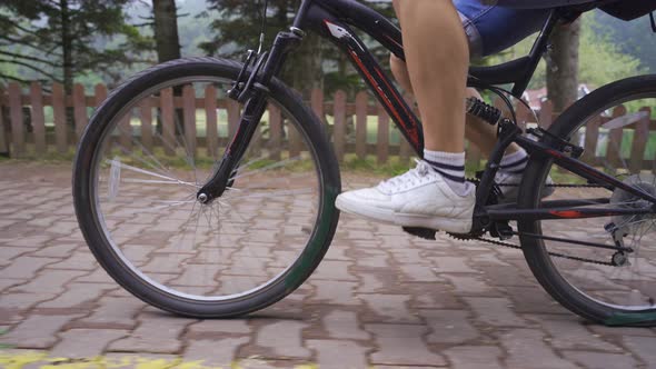 Cycling in the nature park. alt