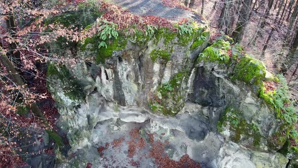 The Cave Grotto in the Forest