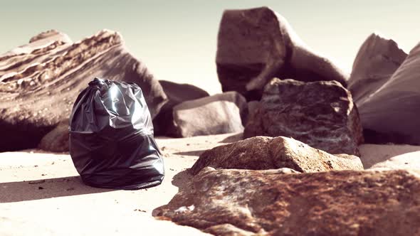 Black Plastic Garbage Bag Full of Trash on the Beach alt