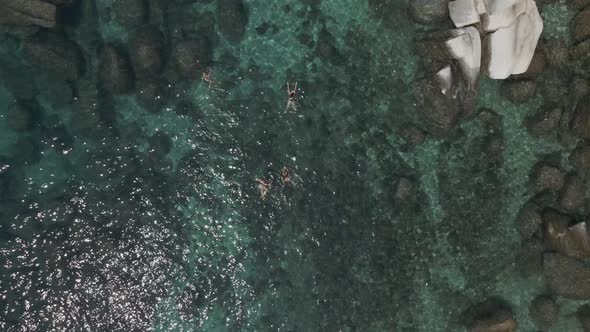 Beautiful group of young ladies swimming on the lake alt