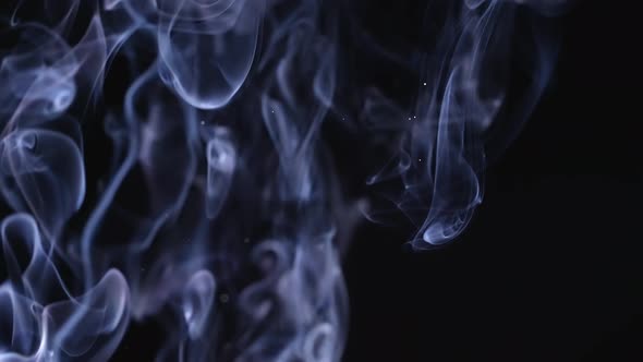 A Cloud of White Smoke with Dust Particles Floating in Space on a Black Background alt