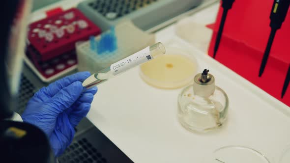 Scientists Testing Samples of Covid19 Coronavirus alt