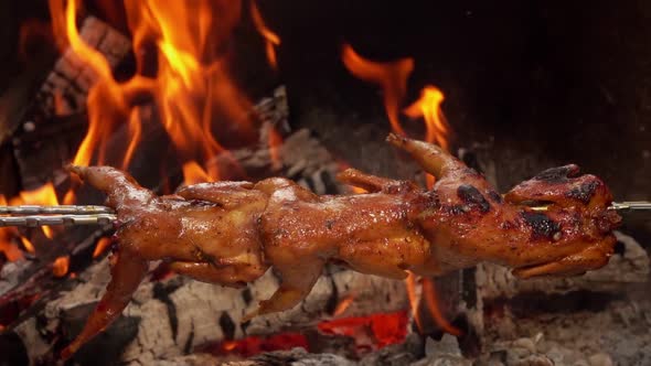 Delicious Juicy Quails on the Skewer are Roasting on the Background of the Fire alt