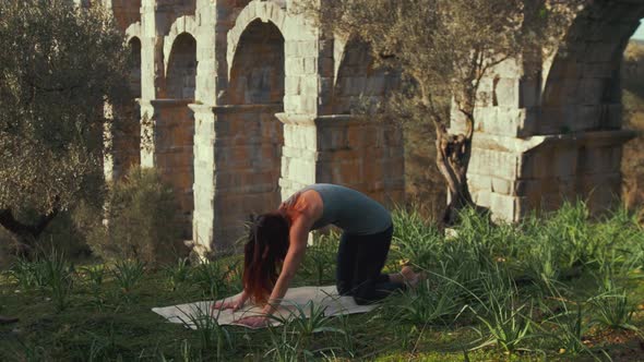 fit female athlete performs dolphin pose within wilderness at Ancient aqueduct alt