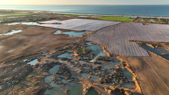 Farm  Background Texture Green 4 K Aerial View alt