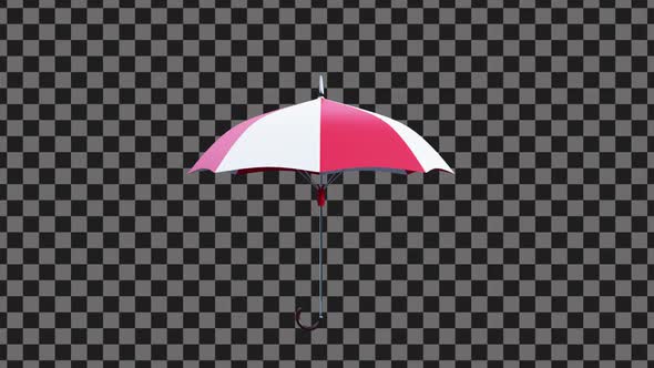 Umbrella 3D Animation with alpha channel