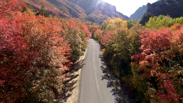 Flying over road through colorful forest during Fall alt