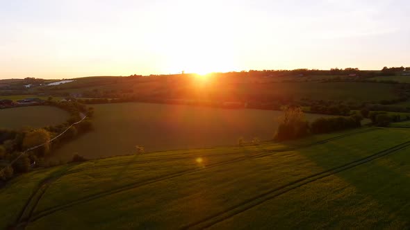 Beautiful field at sunset 