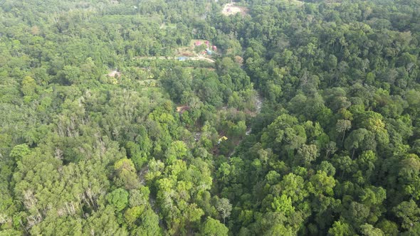 Aerial view of river, chalet and jungle in Pahang