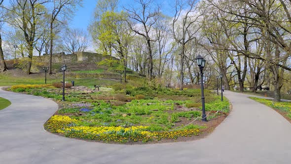 Walk in the spring park of the city of Riga.