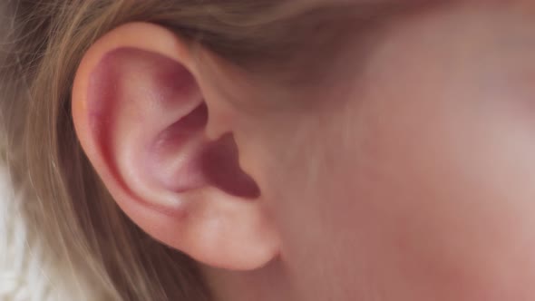 Closeup of a Child's Ear alt