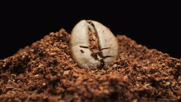 Single Coffee Bean And Ground Coffee alt