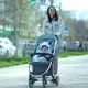 Woman Walks with Baby Stroller in Which Child Boy is Sitting - VideoHive Item for Sale