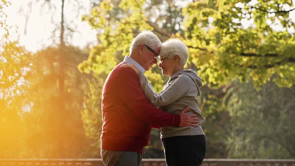 Elderly Caucasian Couple Hug in the Park Looking at the Camera Retirement Wellbeing Senior People alt