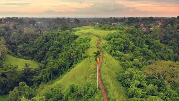 Aerial view of the Artists Walk Campuhan Ridge Walk in Ubud village alt