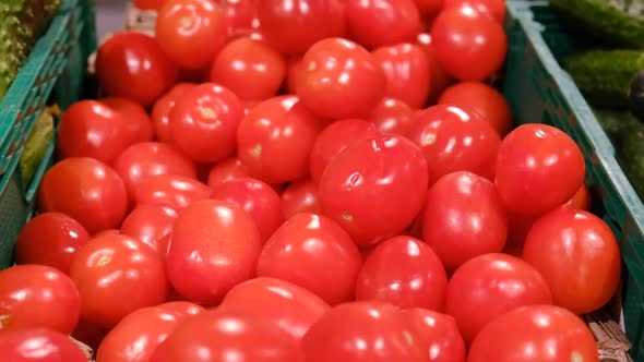 Tomatoes in the Market in Boxes Close Up Panning on a Big Pile of Red Fruits alt