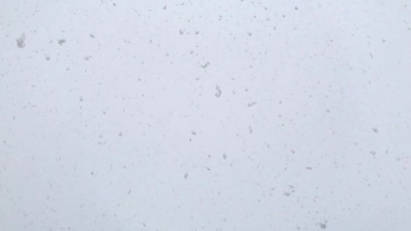 Looped Slow Motion Footage of Fresh White Snow Falling.