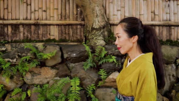 Elegant Japanese woman in Kyoto Japan alt