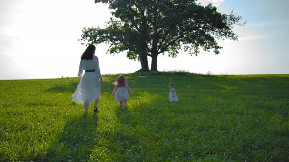 Young Mother and Two Little Daughters Walking Across the Field Towards Lonely Oak Tree with Swings. alt
