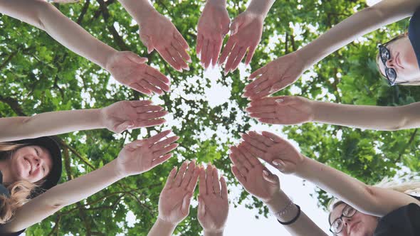 A Group of Girls Make a Circle with Their Palms Against the Background of Tree Branches alt