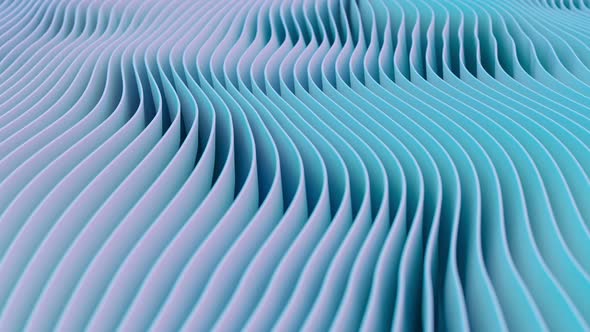 Animation Wave Movements Purple Geometric Lines