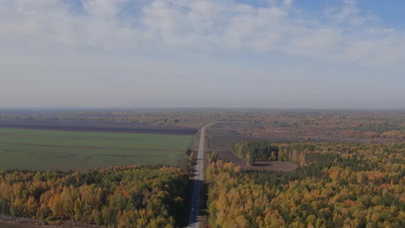 Road between yellow and green autumn forest and fields in Ural