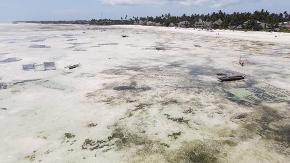 Shore of Zanzibar Island Tanzania at Low Tide alt