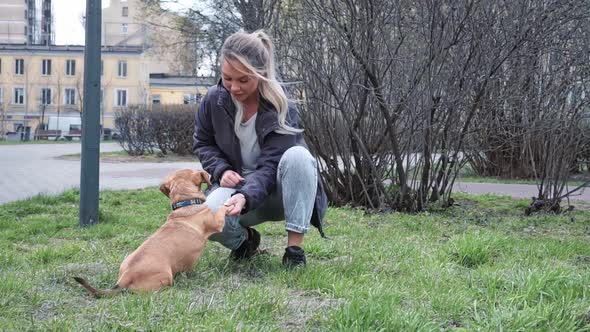 A Woman of Caucasian Nationality Walks and Plays on a Green Meadow in a City Park with a Small Brown alt