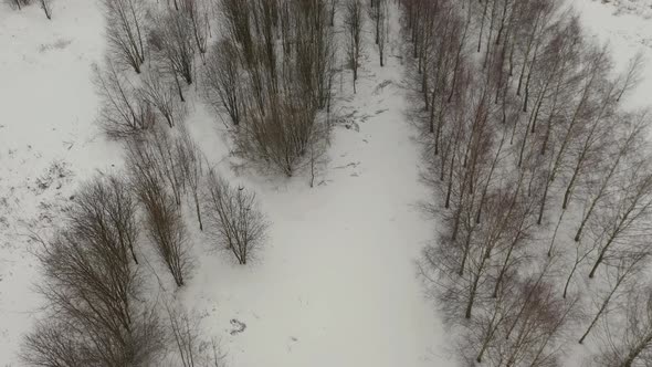 two guys riding motorcycles in the snow alt