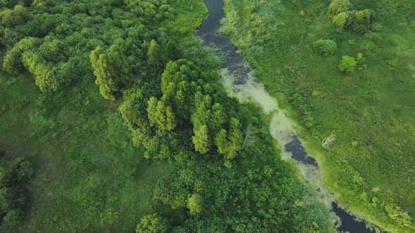 Rural Landscape. Green Forests And Fields. River Flows. Aerial Photography. With The Camera Down.