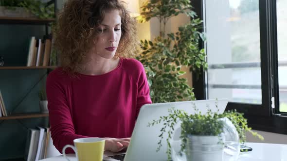 Businesswoman using laptop working at home alt