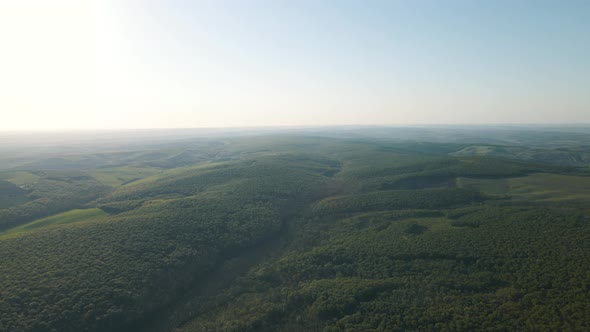 Drone Flight View Above Green Forest And Agricultural Land Landscape at Sunset alt