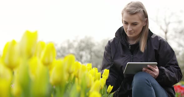Female Researcher Walking While Examining Tulips At Field alt
