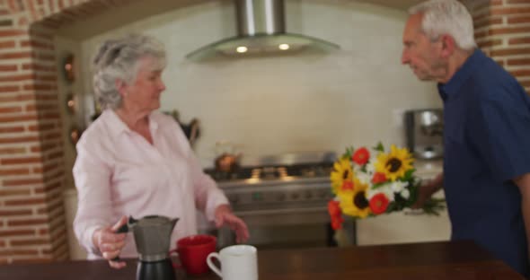 Senior caucasian couple in kitchen alt