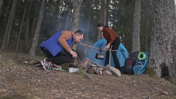 Tourists in the Forest alt