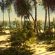 Palm Beach In Tropical Idyllic Paradise Island - VideoHive Item for Sale