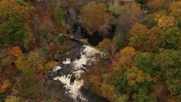 An aerial drone shot of the colorful fall foliage in upstate NY. The camera boom up & pan right over alt